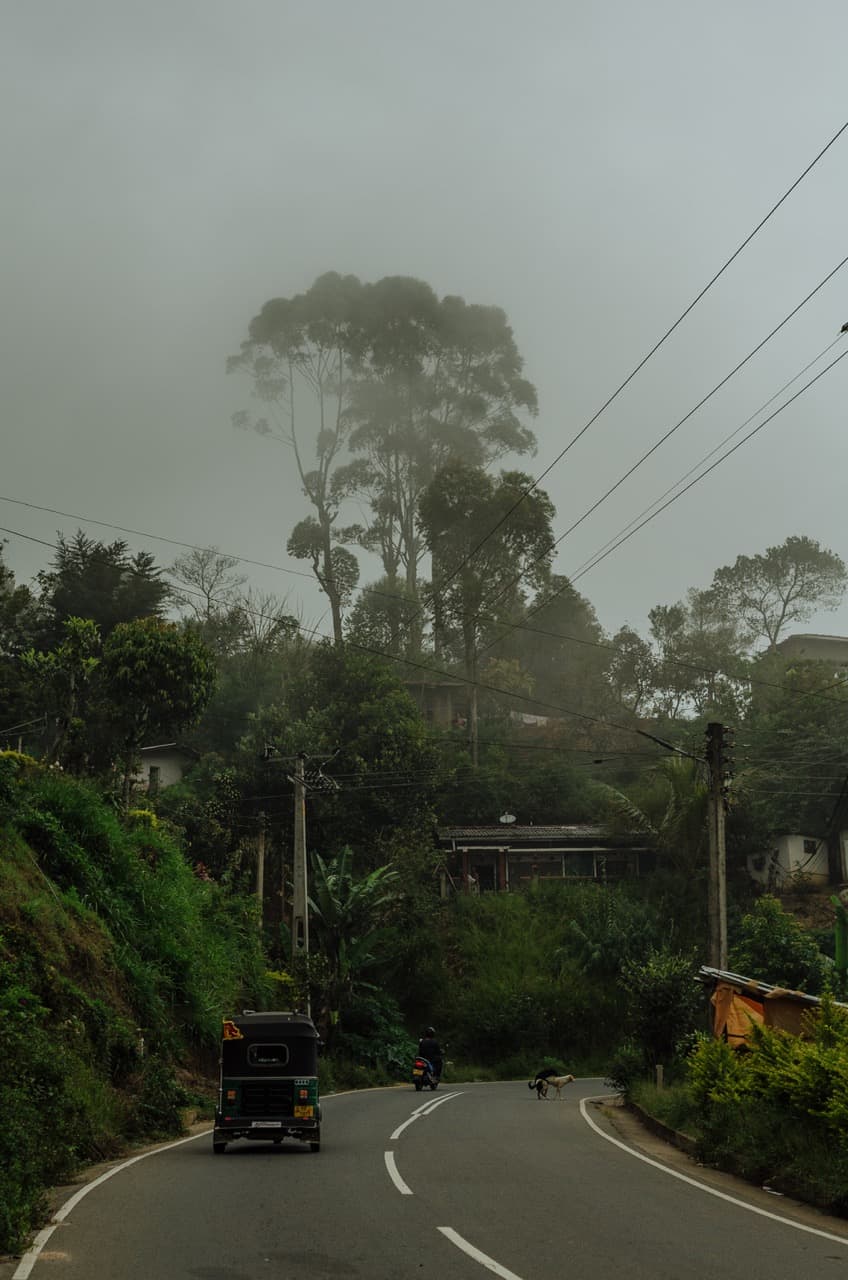 Превью Sri Lanka 2022